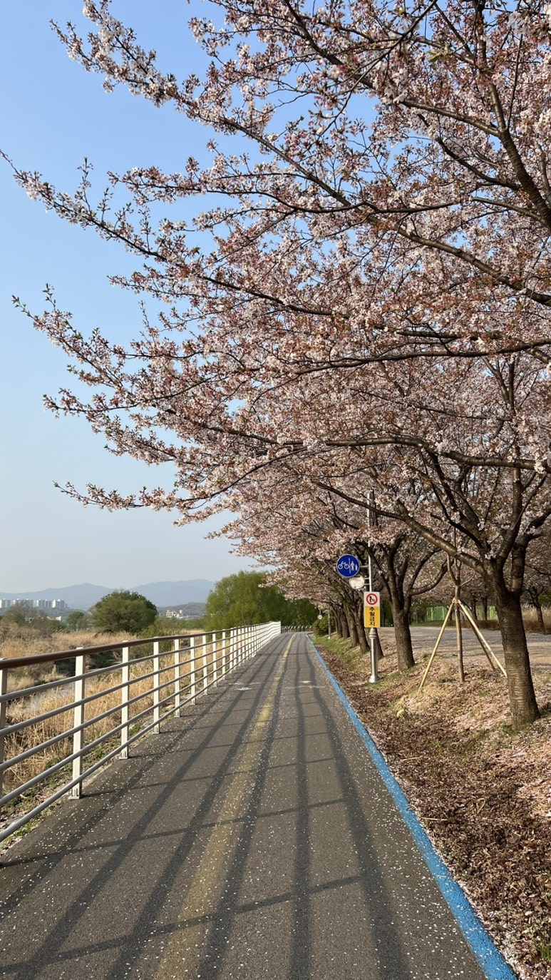 이디야 하남시청점 이미지