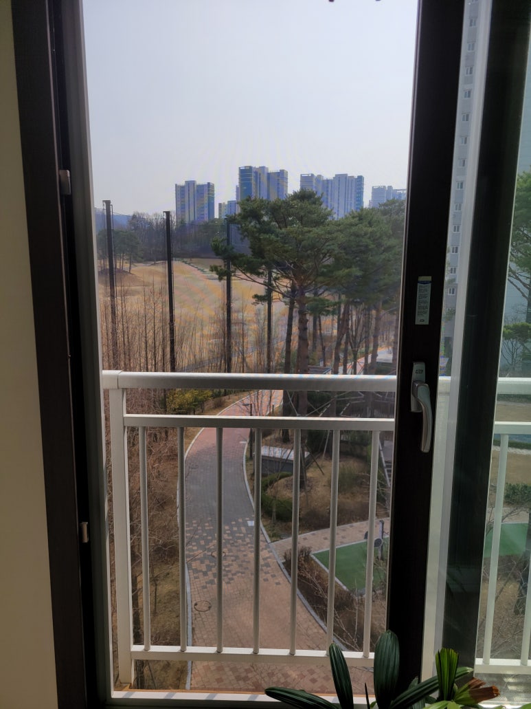 안심에스엘 이미지