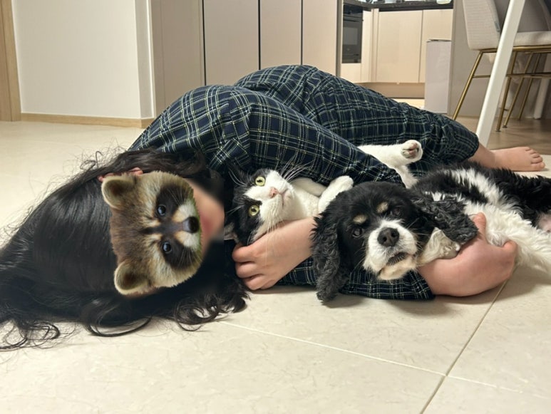 배나온언니# 이미지