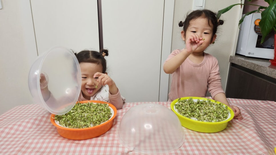 지산보리어린이집 이미지