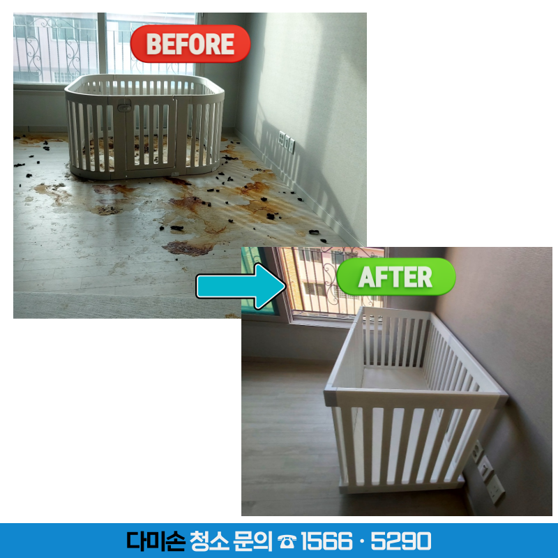 다미손 종합청소 이미지