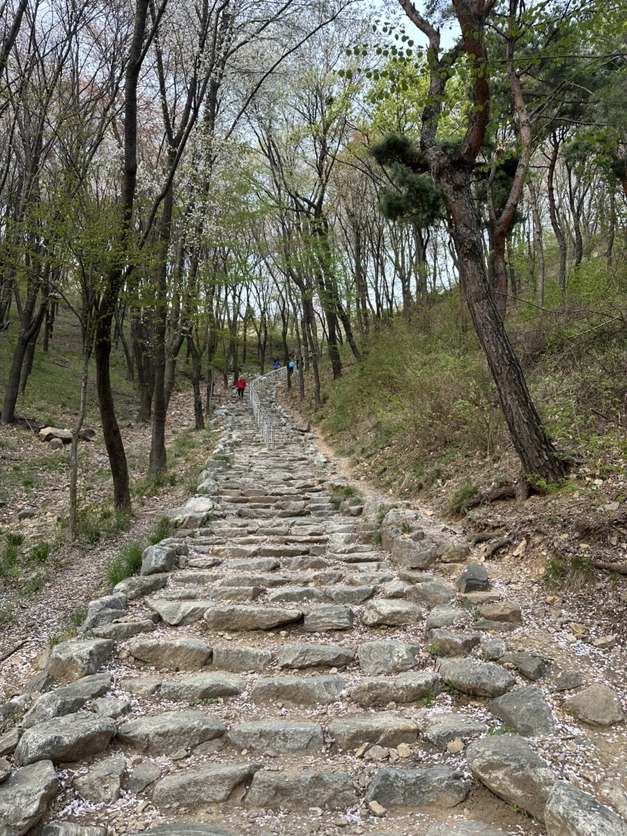 계양산성매장 이미지