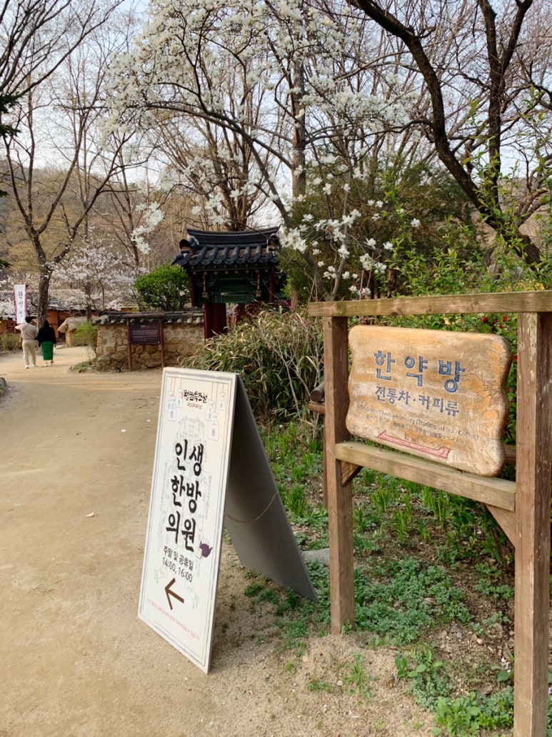 인생한방찻집 이미지