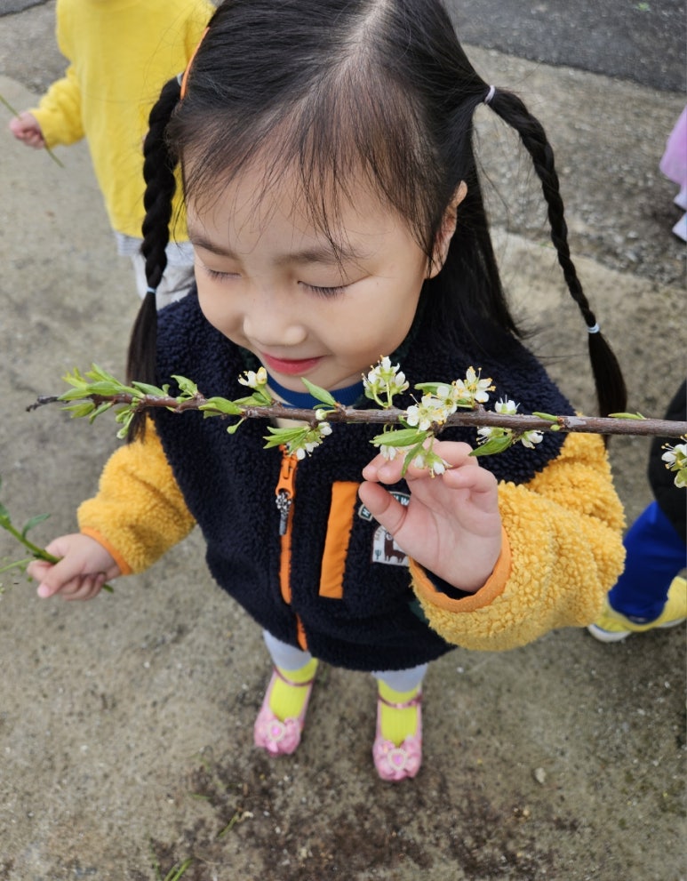 아람향 이미지