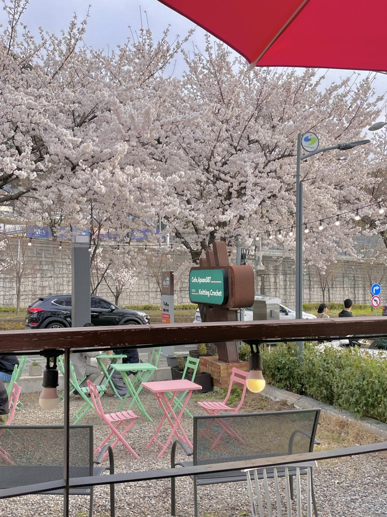 앞산387 이미지