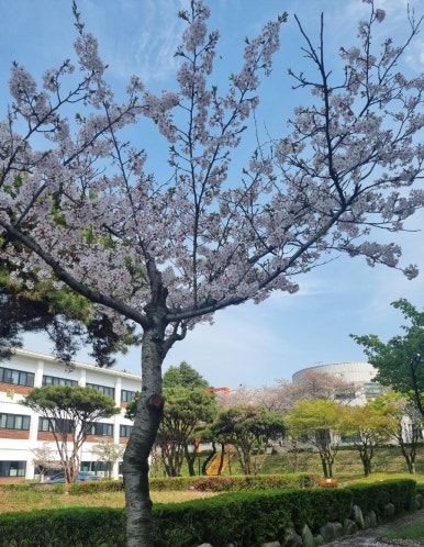 인트로커피로스터즈 이미지