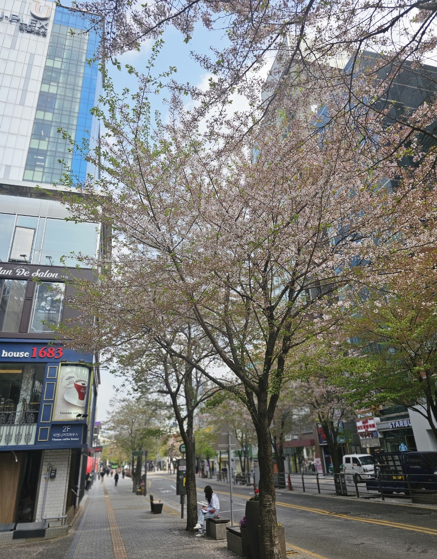 어썸노래연습장 이미지