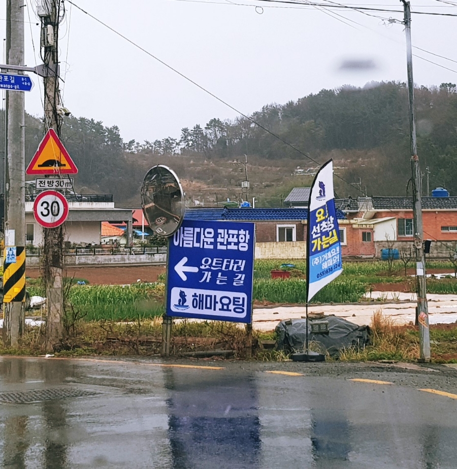해마요팅 이미지
