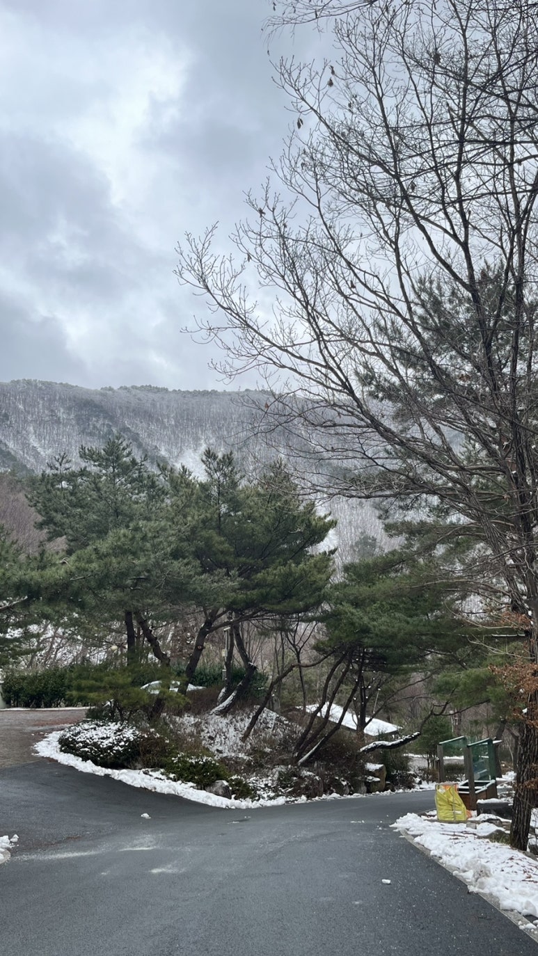 오르토커피 이미지