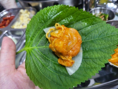 금천닭갈비.파전(청주본점) 이미지