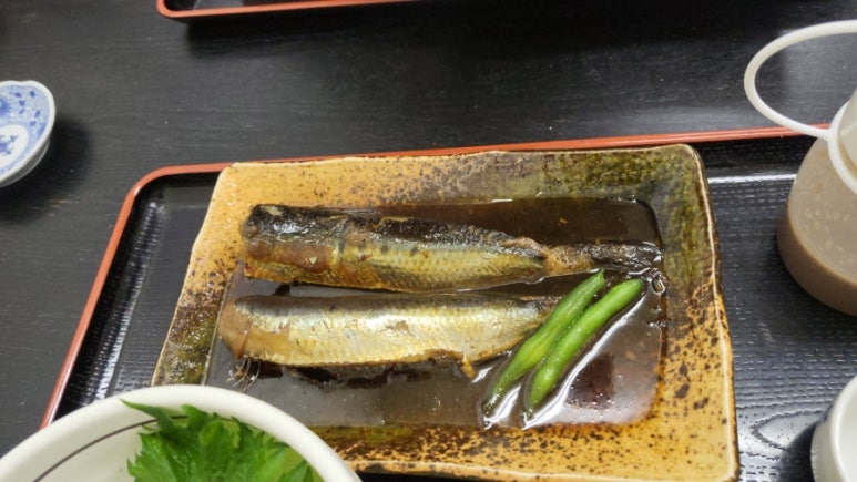 시장복어 이미지