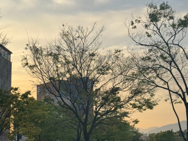 동해회대게수산 이미지