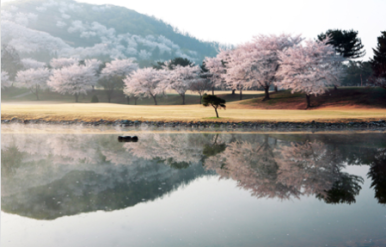 (주)제일스포츠센타 이미지