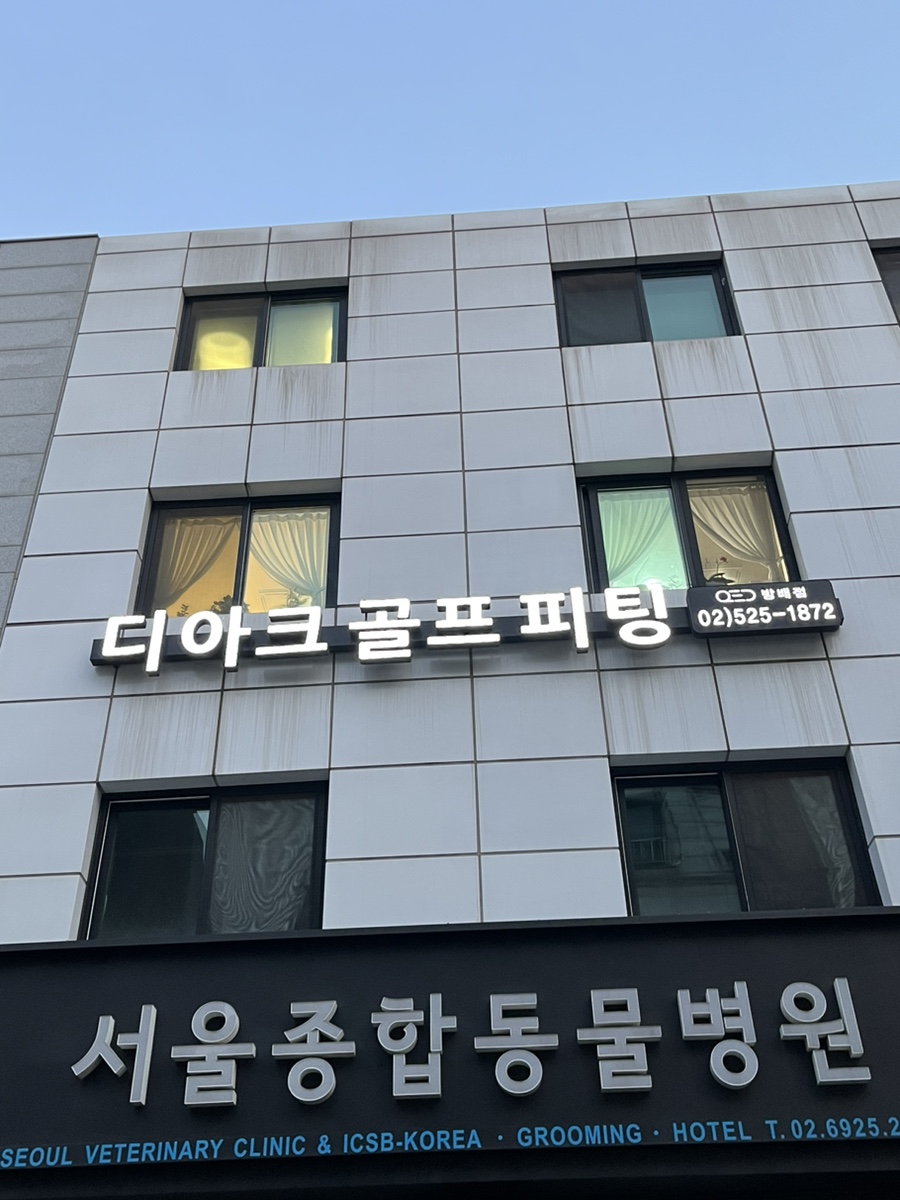 디아크골프랩 이미지