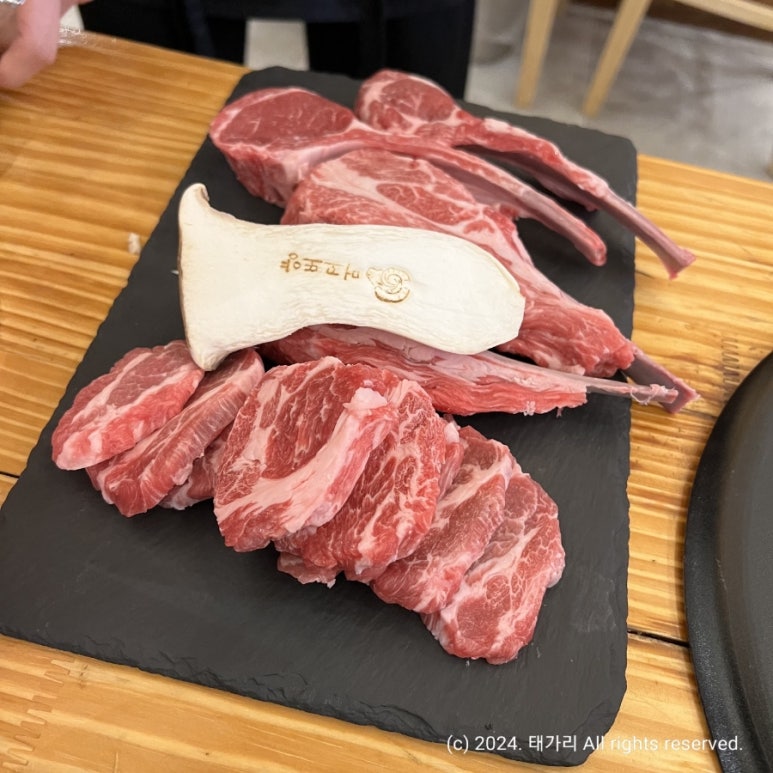 머꼬또양 이미지