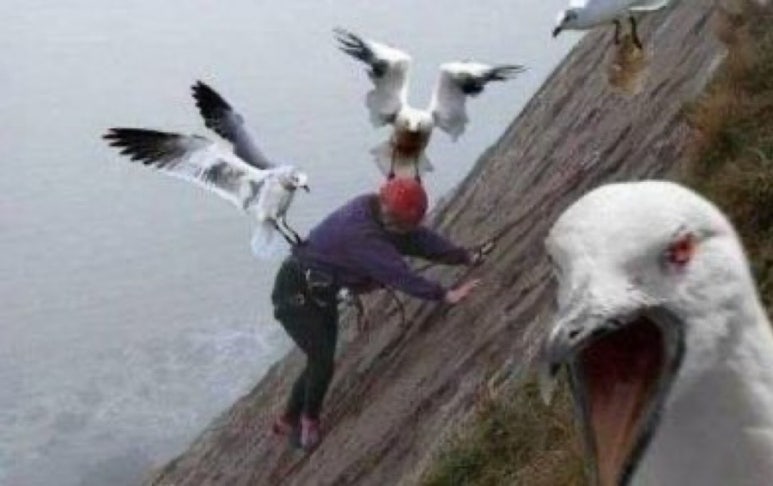 호감 이미지