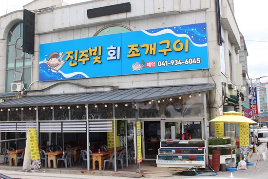조개빛바다 이미지