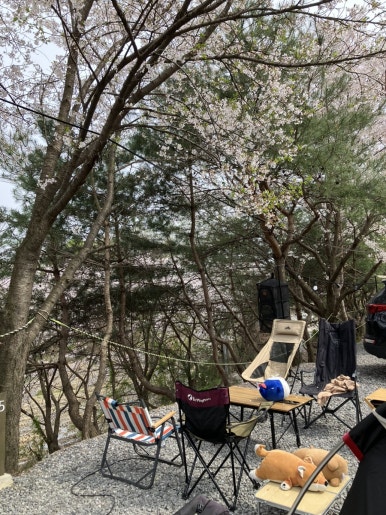 풍성채 이미지