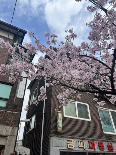 금파미용실 이미지