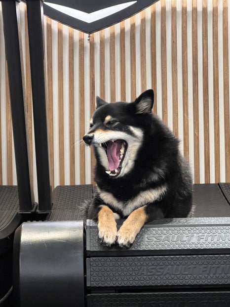 크로스핏블루 이미지