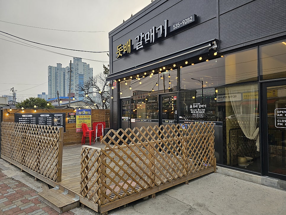 돗배갈매기 이미지