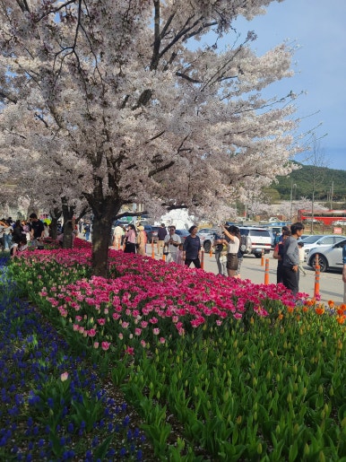 세교화원 이미지