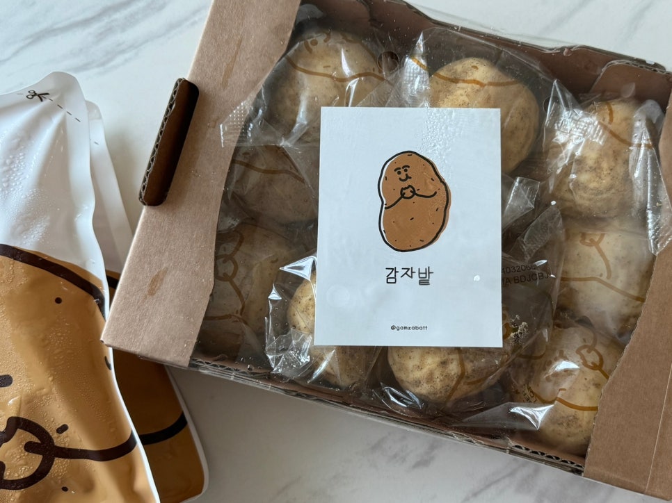 이라이타코야끼 이미지