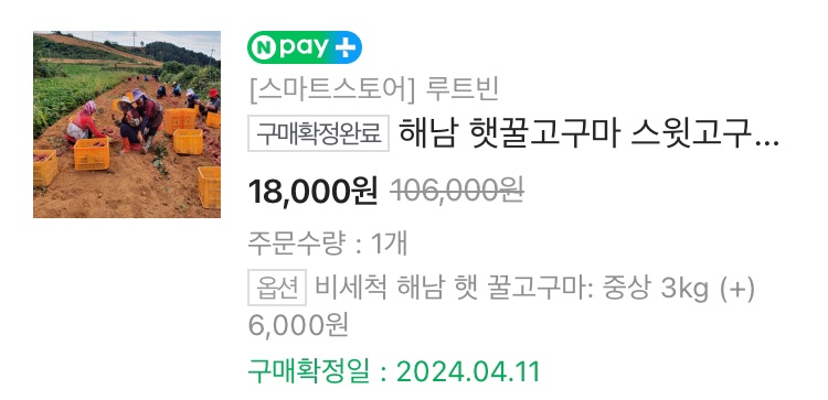 루트빈 이미지