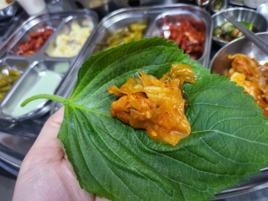 금천닭갈비.파전(청주본점) 이미지