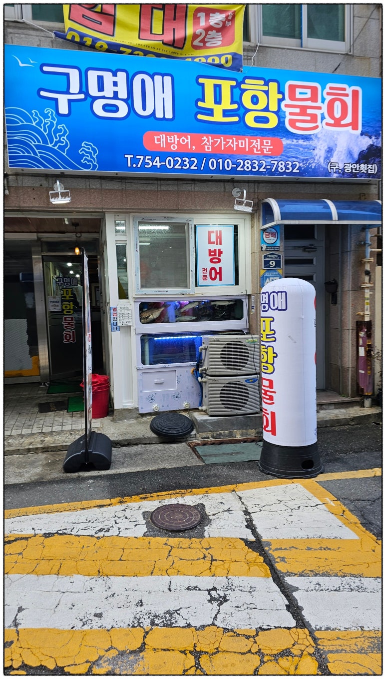 구명애포항물회 이미지