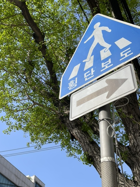 다다치킨 이미지