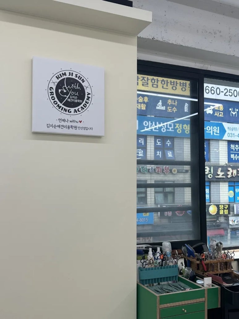 김지순애견미용학원 이미지