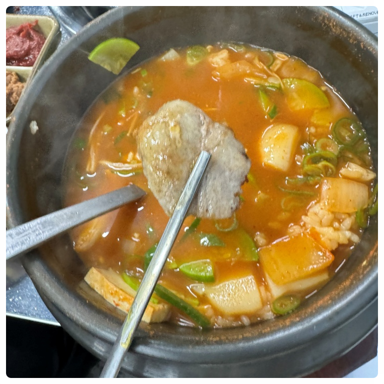 돼지벅스 이미지