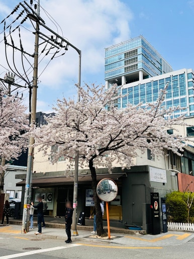 프로파일 커피 로스터스 이미지