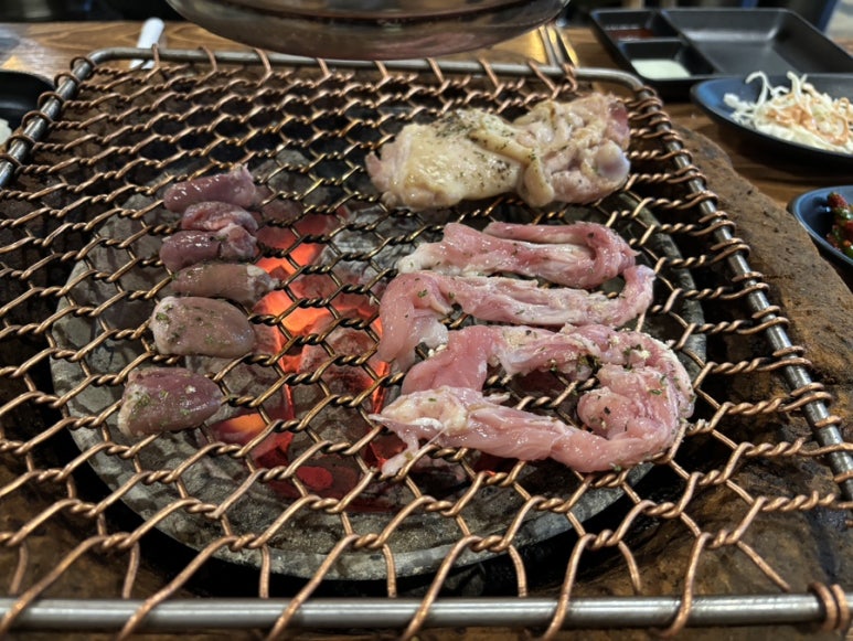 범이시켜 이미지