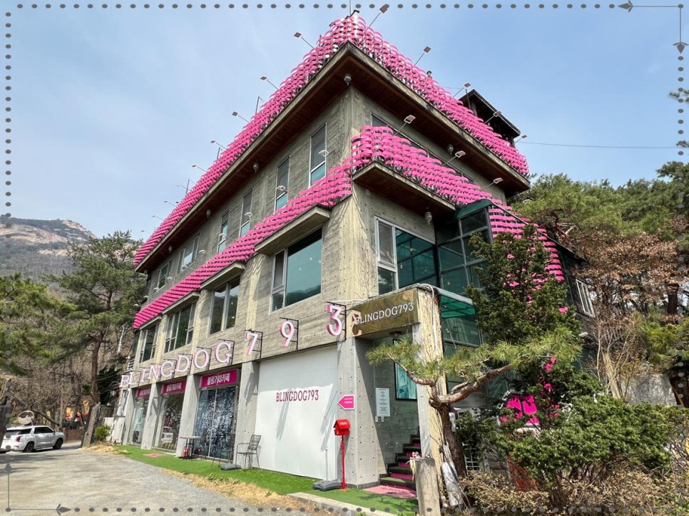 블링독793 이미지