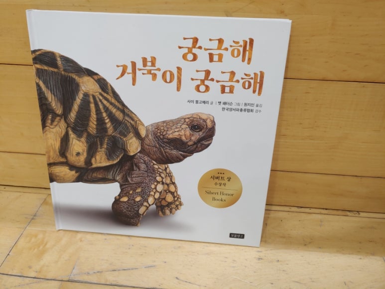 궁금해 거북이 궁금해 서평 : 네이버 블로그