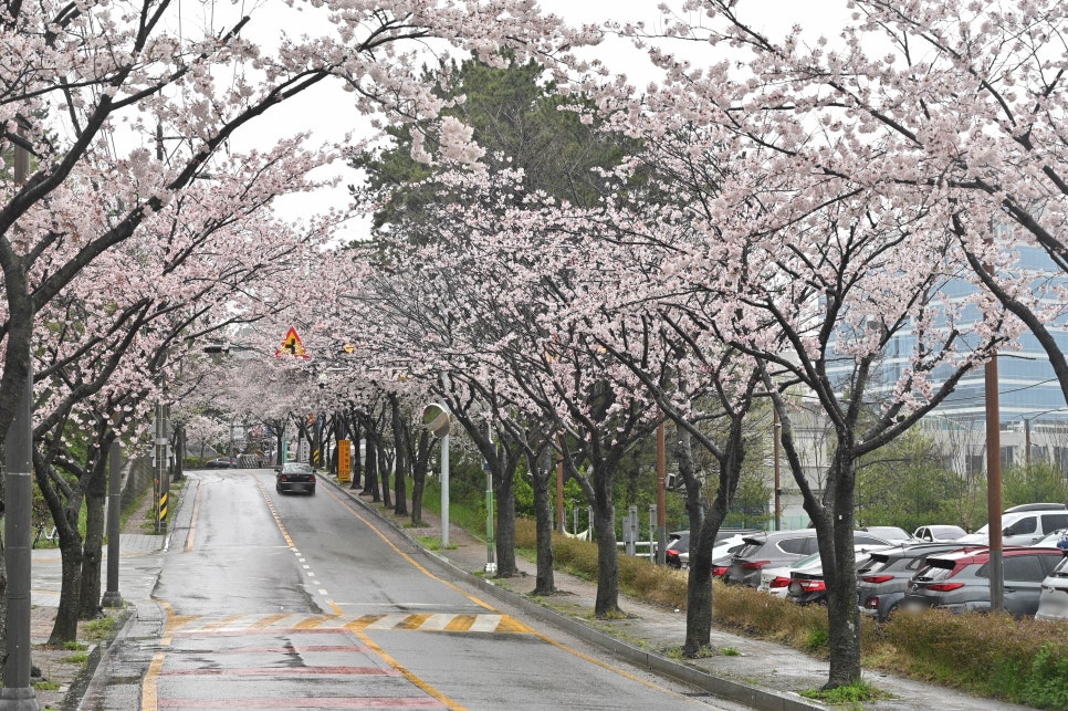 기장돈사돈 부산1호점 이미지