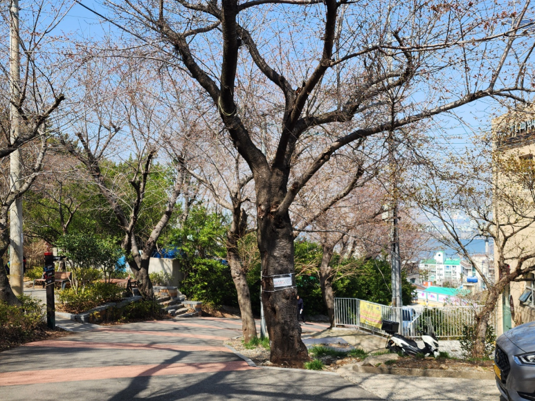 조내기고구마(주) 이미지