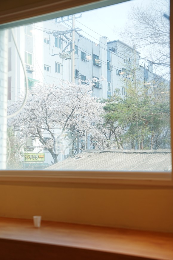 라이프 하이 이미지