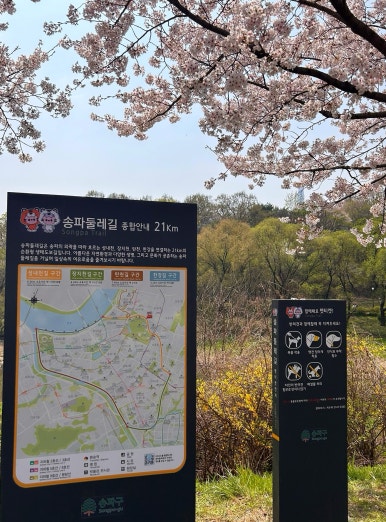 젤라떼리아피오니 이미지