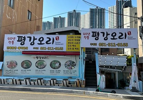 평강오리 이미지