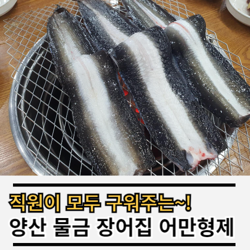 어만형제 이미지