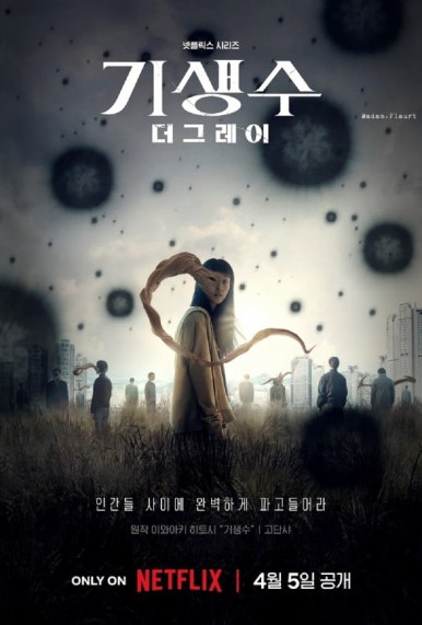 더그레이헤어 이미지