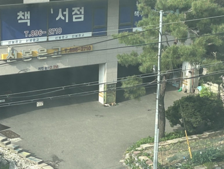 신봉문고 이미지