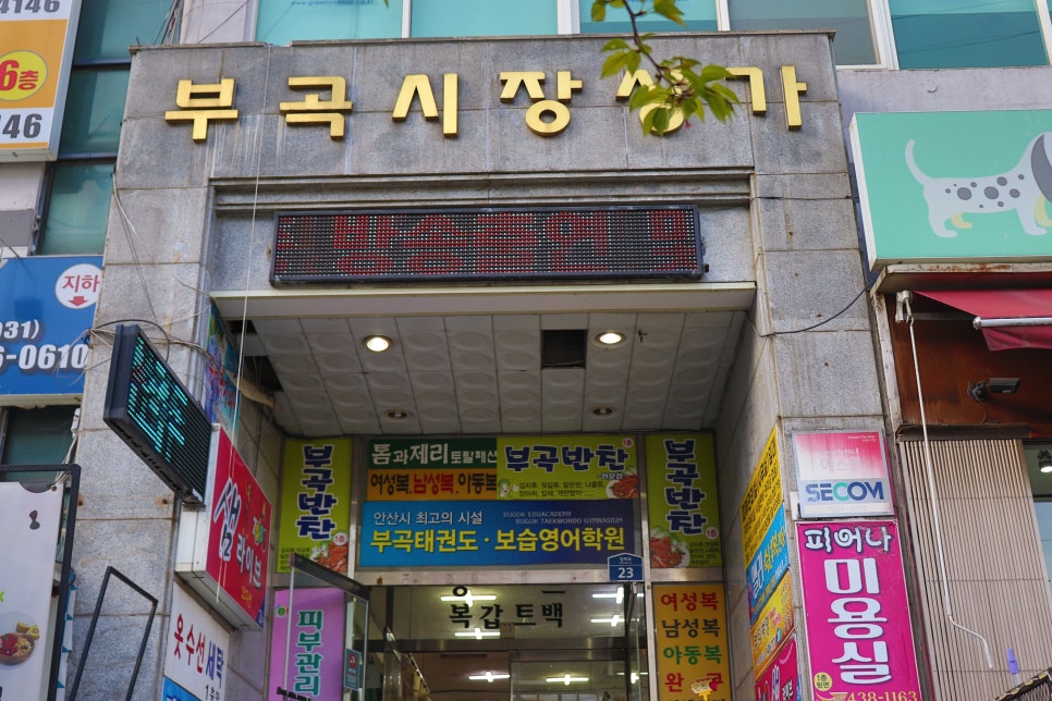 티티네일 이미지