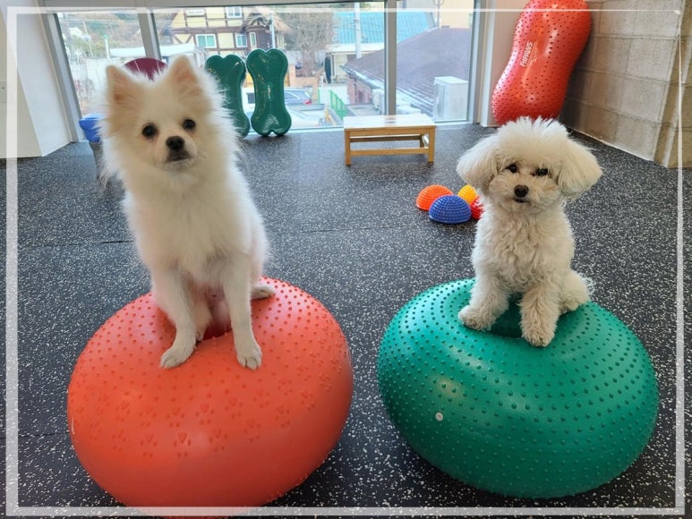 스타핏스튜디오 이미지
