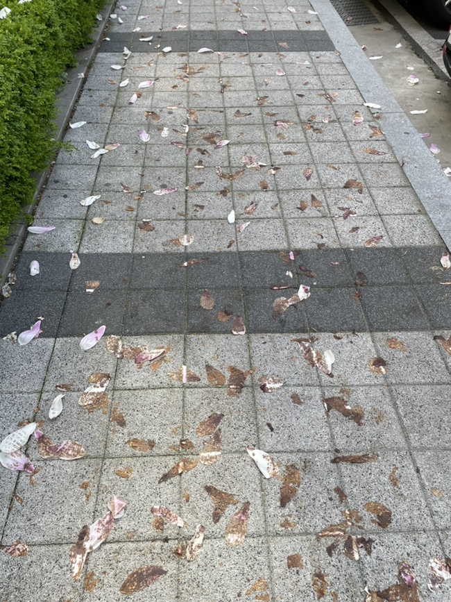 금호이발 이미지