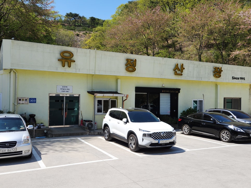 유정샌드위치 이미지