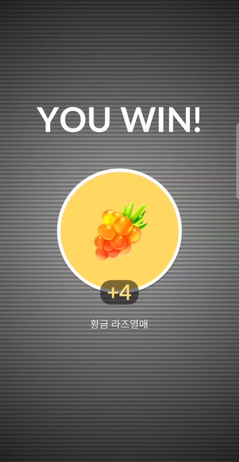 레이드백 이미지